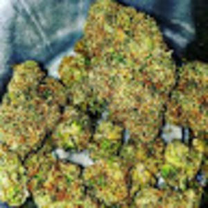 Meet your Posher, Jimmy